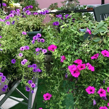 Casa Flora * לה ספציה